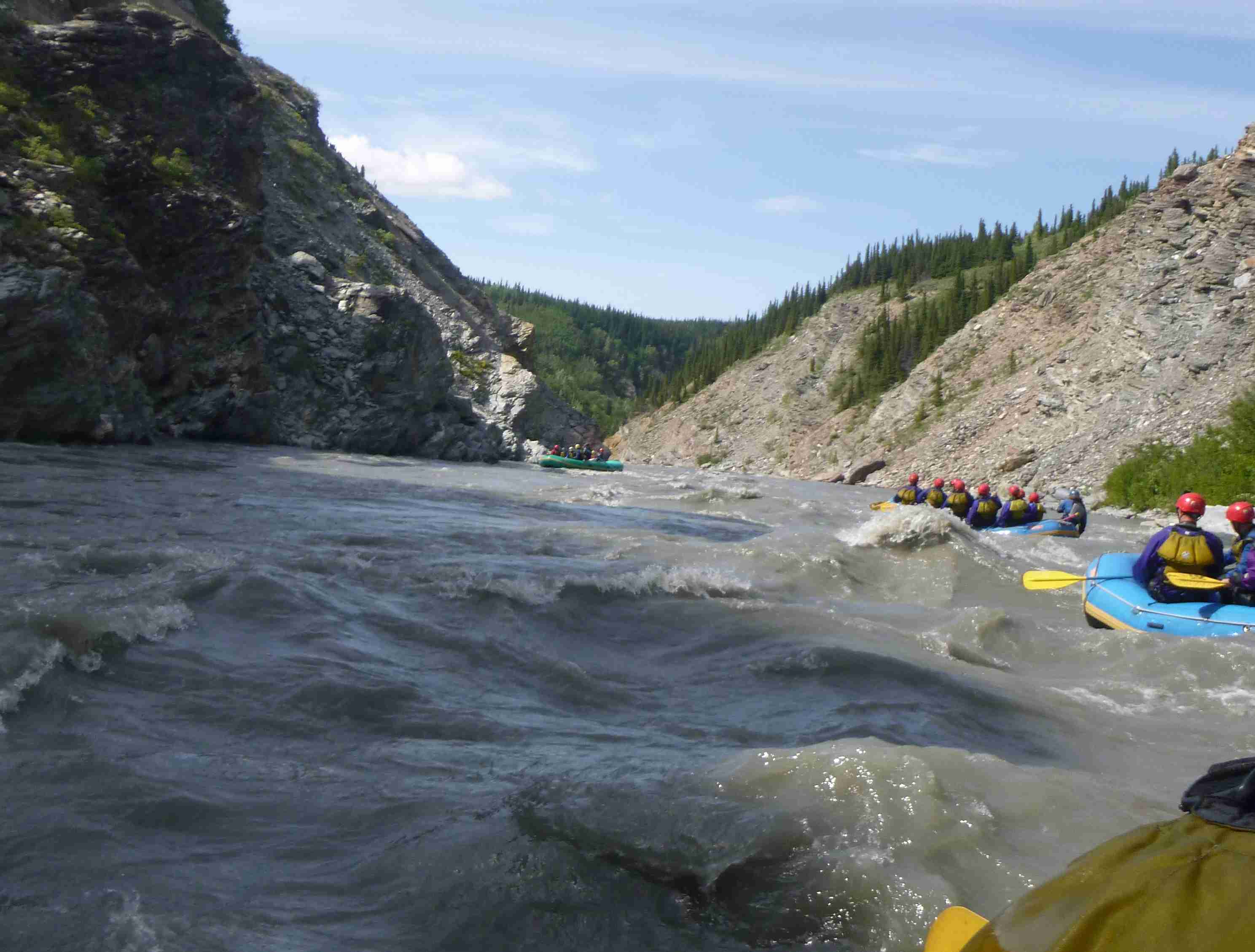 2019-06-15 ALCAN Raft Denali water.jpg